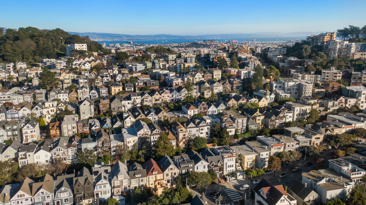 Aerial view of San Francisco Bay and Golden Gate Park