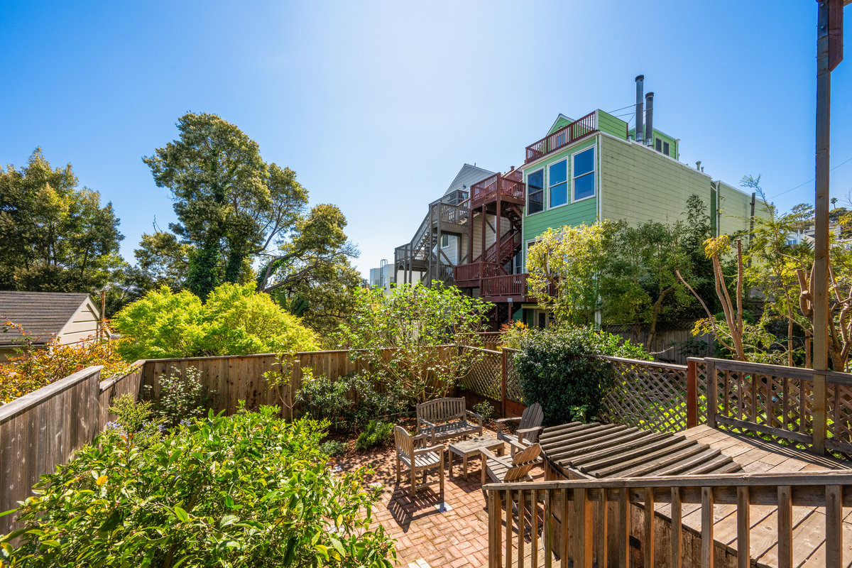 Back yard with lots of lush greenery.