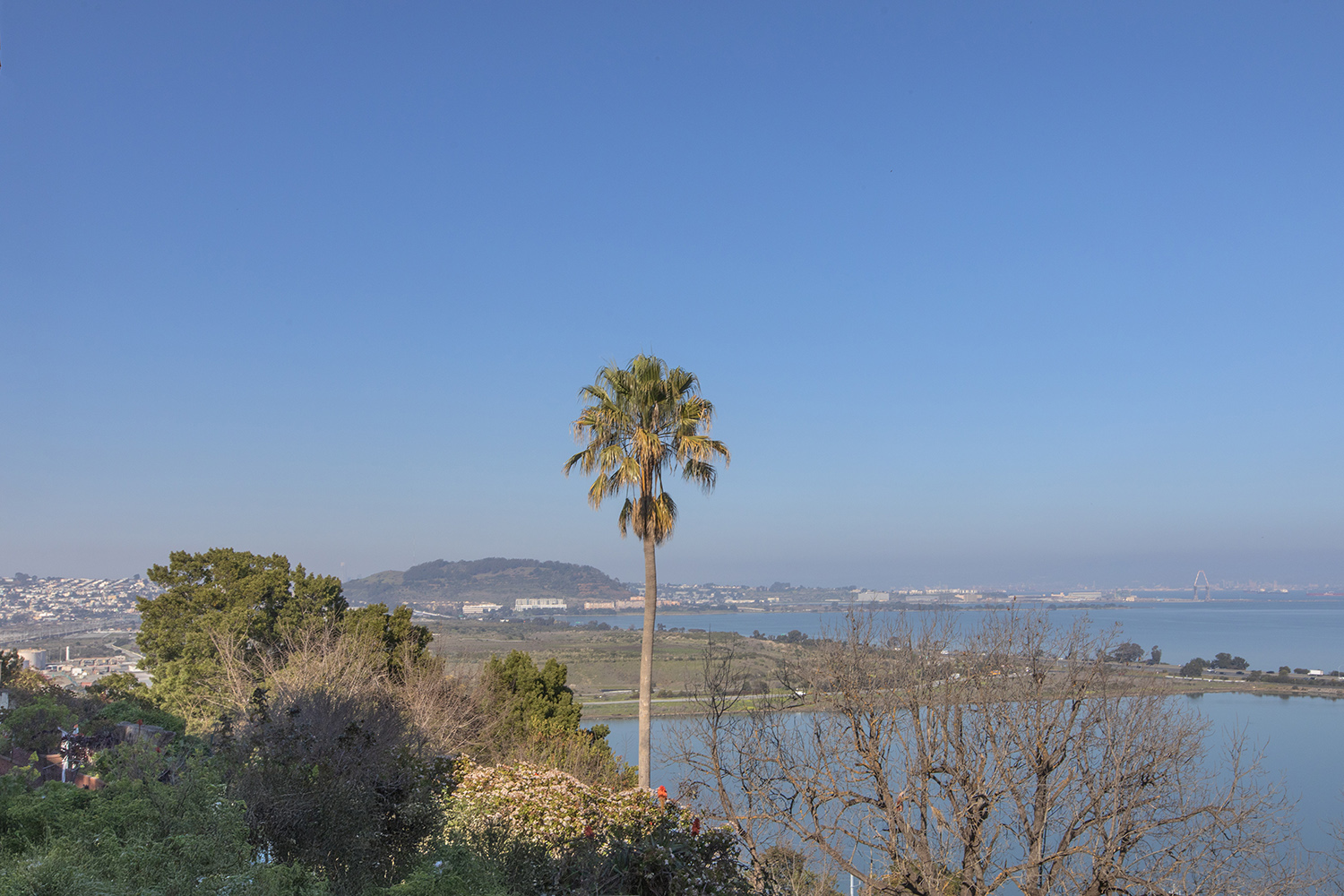 View looking from 169 Tulare looking down town. 