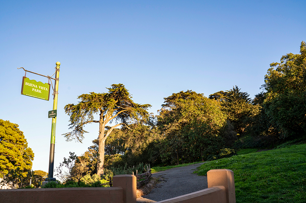 View of the Buena Vista Park, showing a path leading up the hill