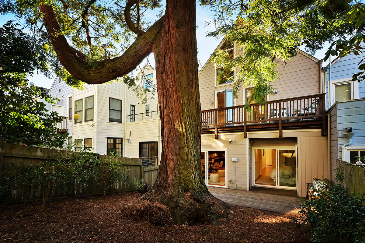 Rear exterior view, showing the large Redwood tree