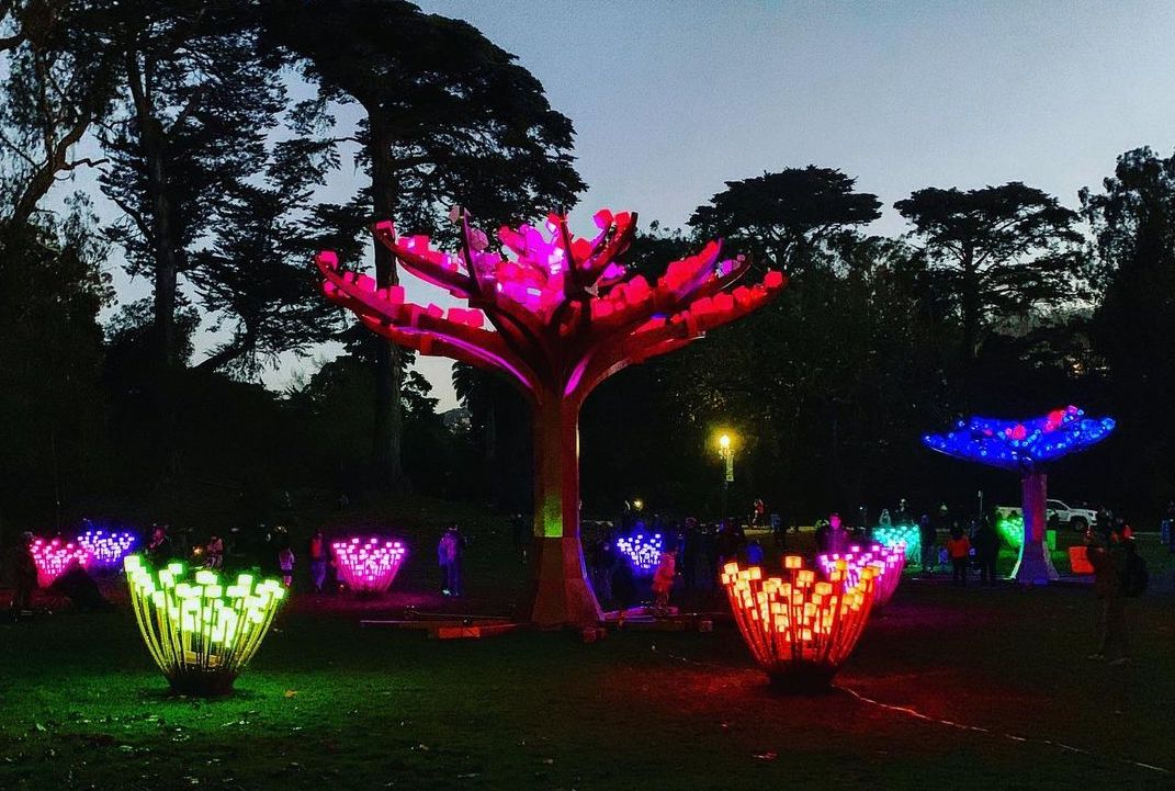 View of a tree with lights