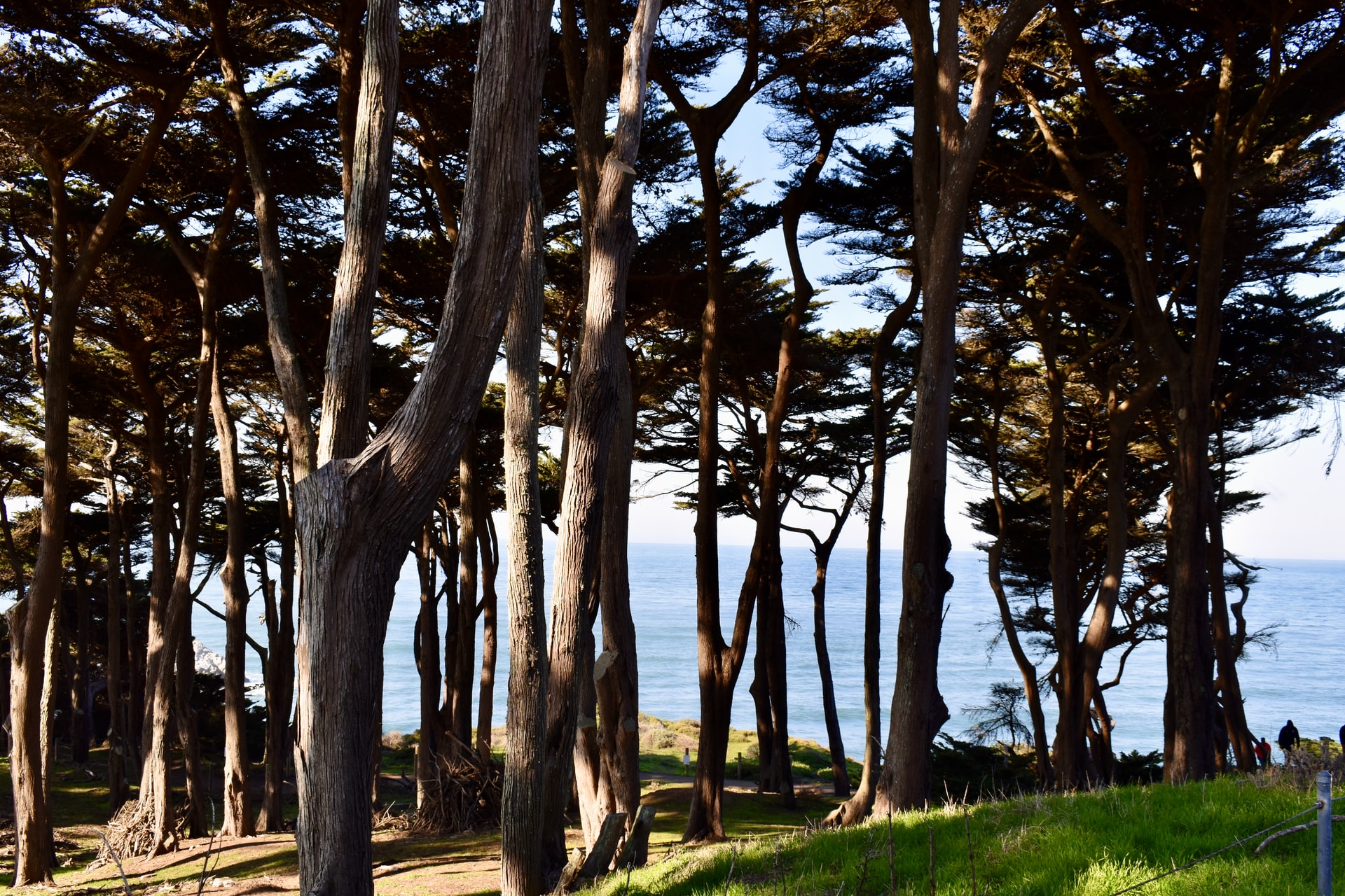 View of Lands End