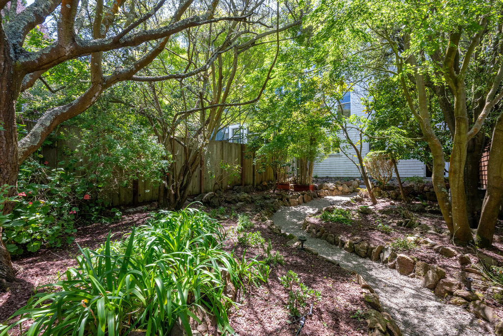 Property Photo: Luscious backyard is well maintained with lots of greenery.