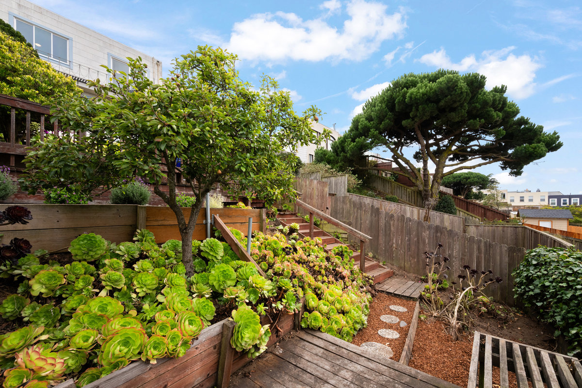 Property Photo: Looking at stairway from lower area of yard.