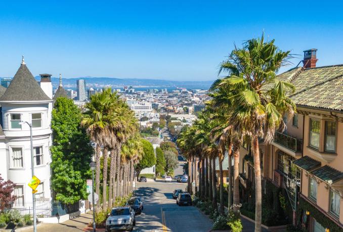 Property Thumbnail: Aerial view looking down Duboce Avenue. Palm trees on both sides looking over the city to the bay.