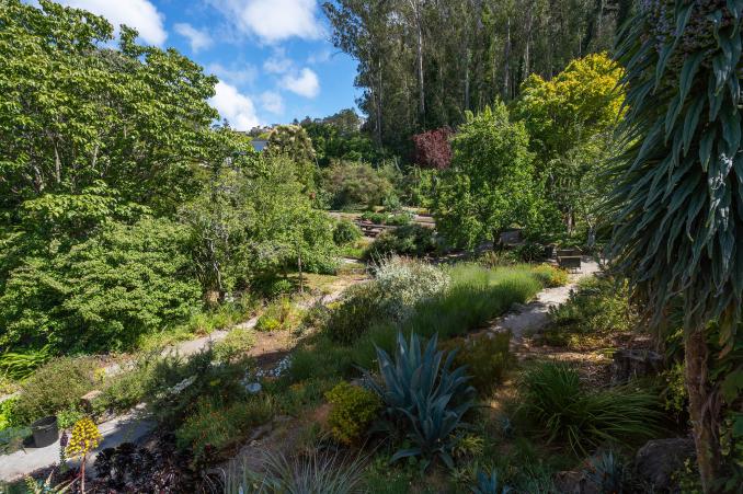 Property Thumbnail: View of a garden with Sutro Forrest beyond