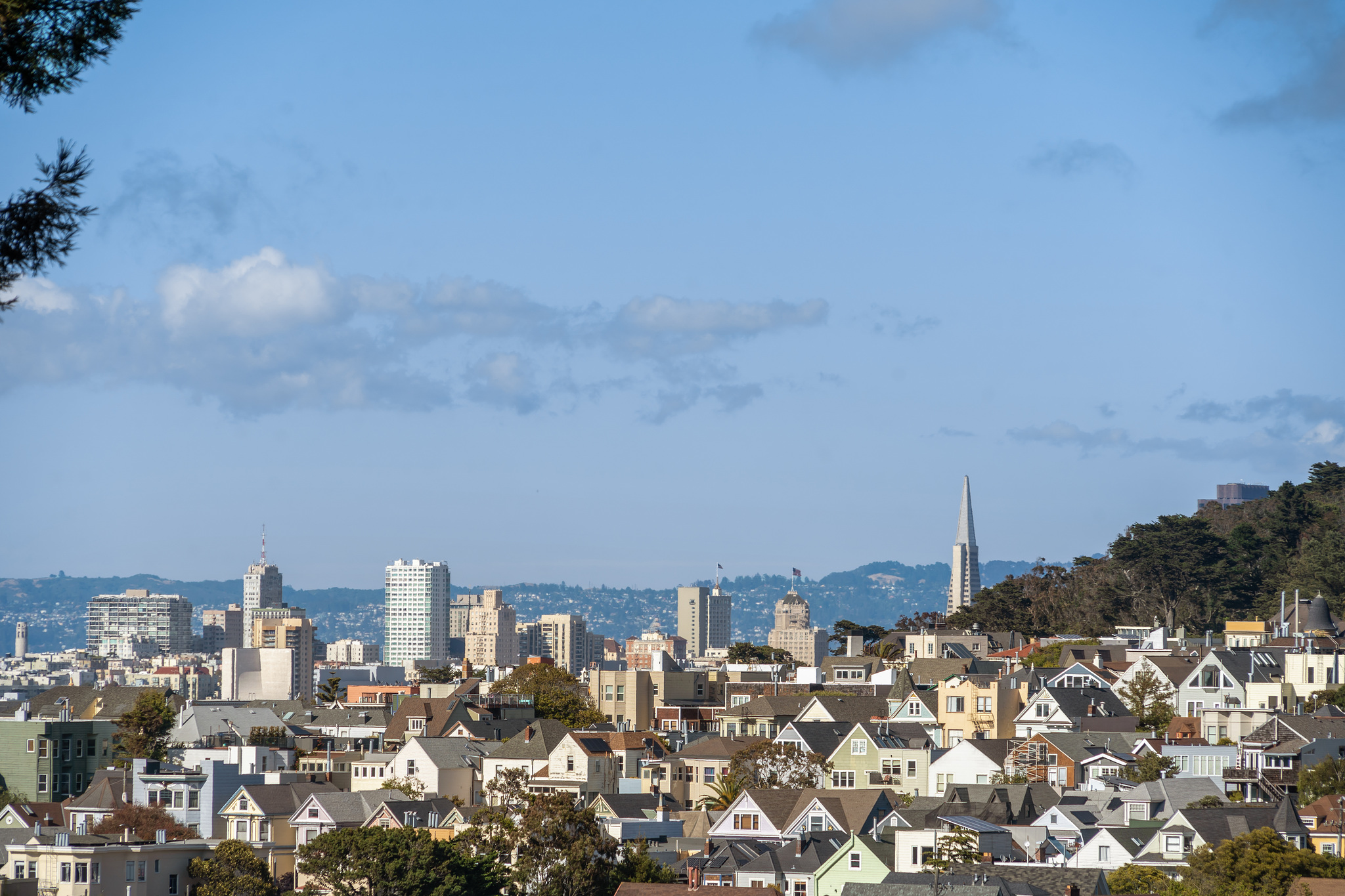Property Photo: City-scape of Cole Valley and downtown San Francisco