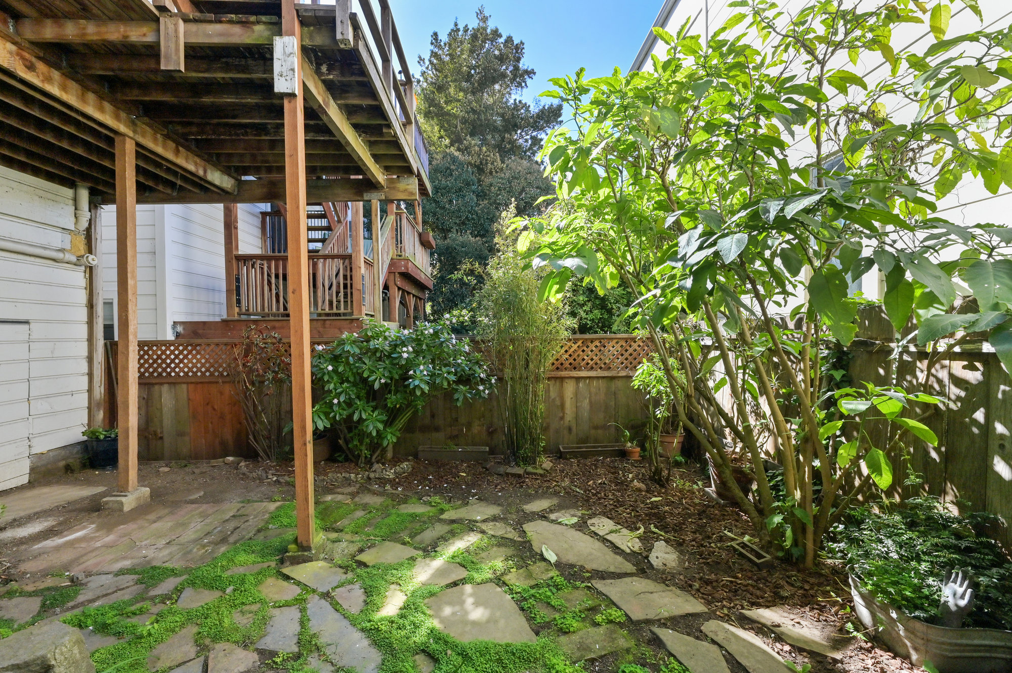 Property Photo: Outdoor space featuring plans and stone patio area