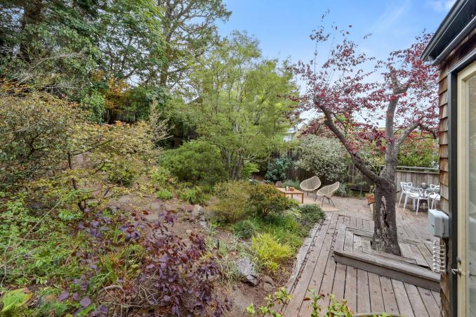 Property Thumbnail: View of the rare trees found in the gardens at 183 Edgewood Avenue in Cole Valley San Francisco