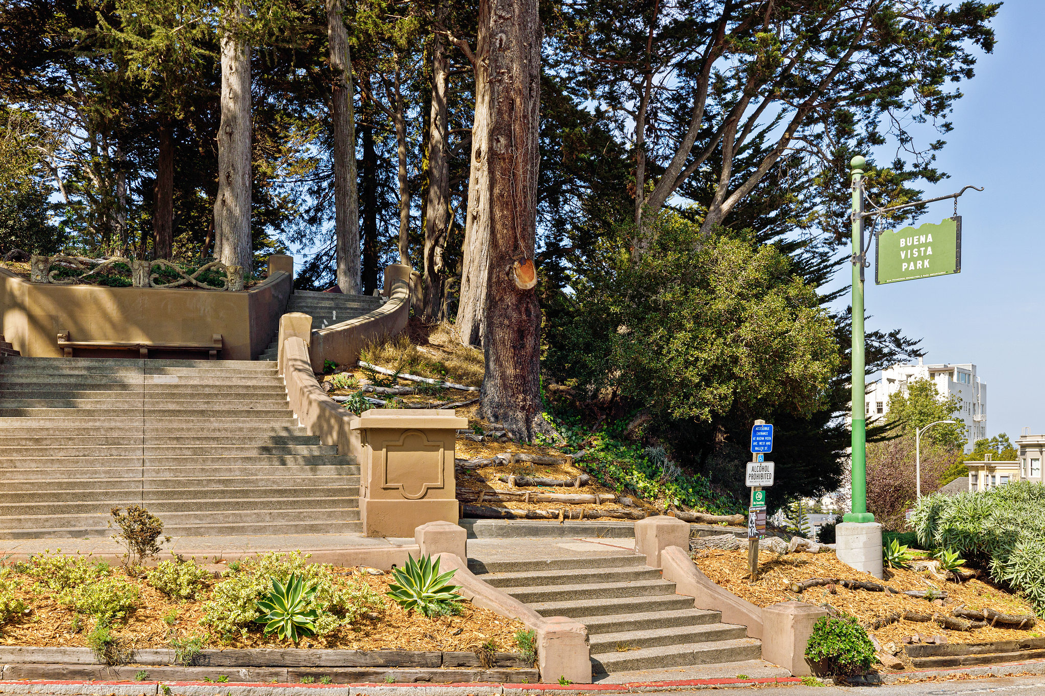 Stone steps and trees are featured next to a sign for Buena Vista Park