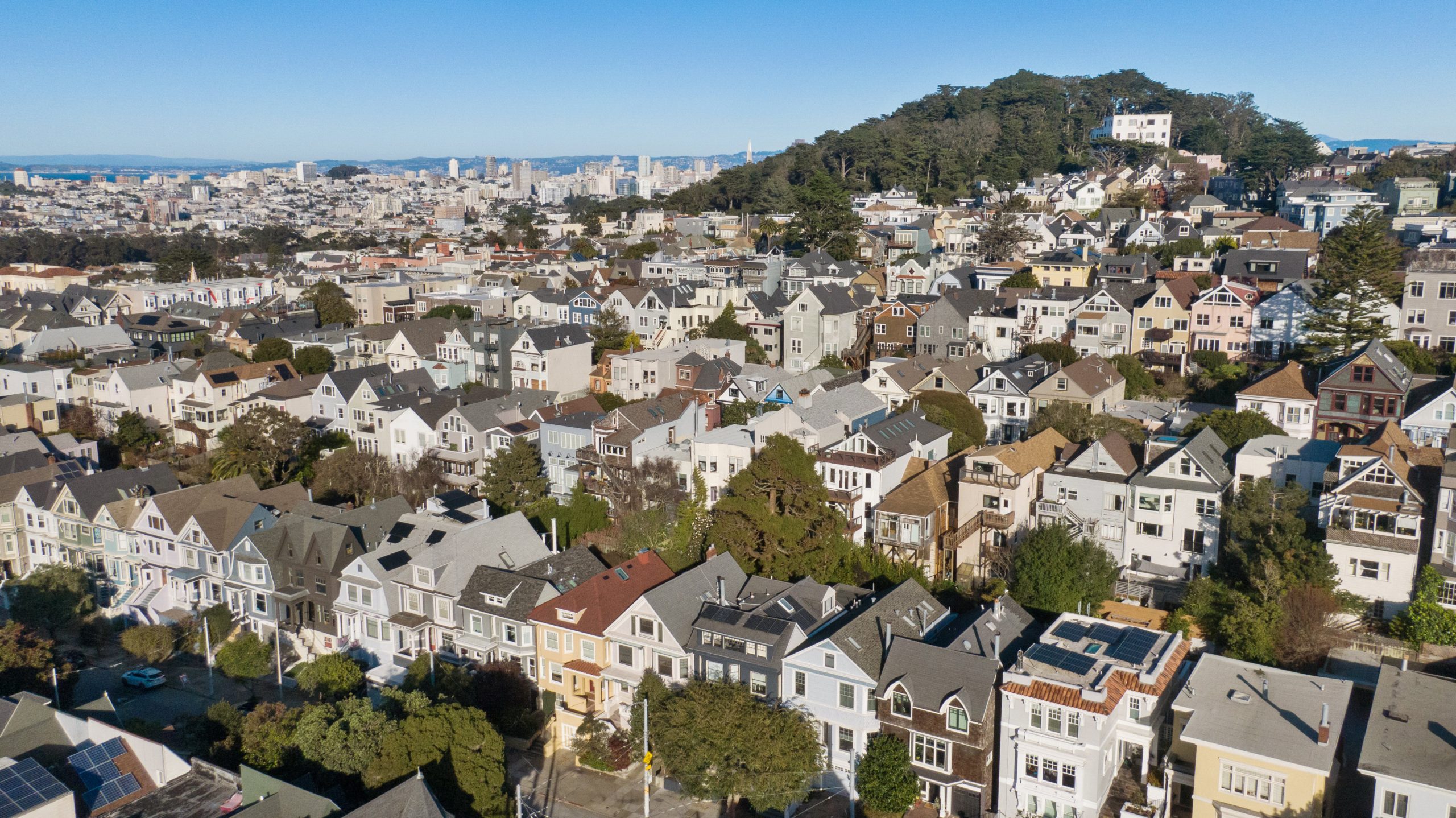 002006 View of Buena Vista Park and downtown San Francisco