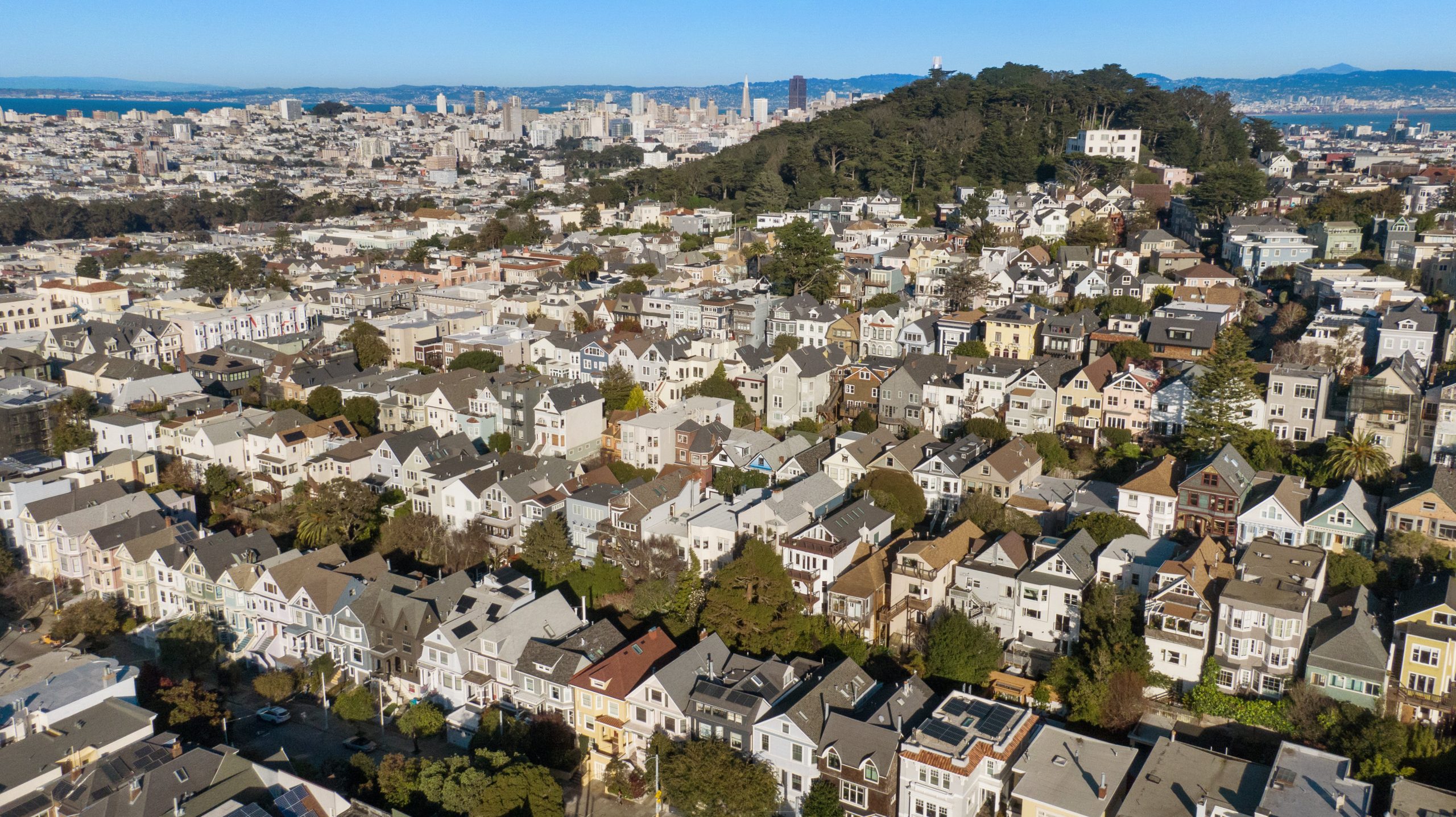 003007 Wide-shot view of Buena Vista Park, downtown San Francisco, and the Bay