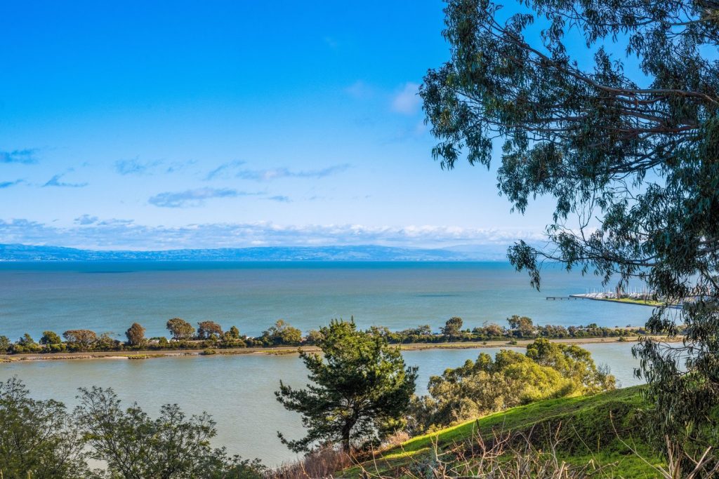 Looking at the Bay from 169 Tualre Street in Brisbane