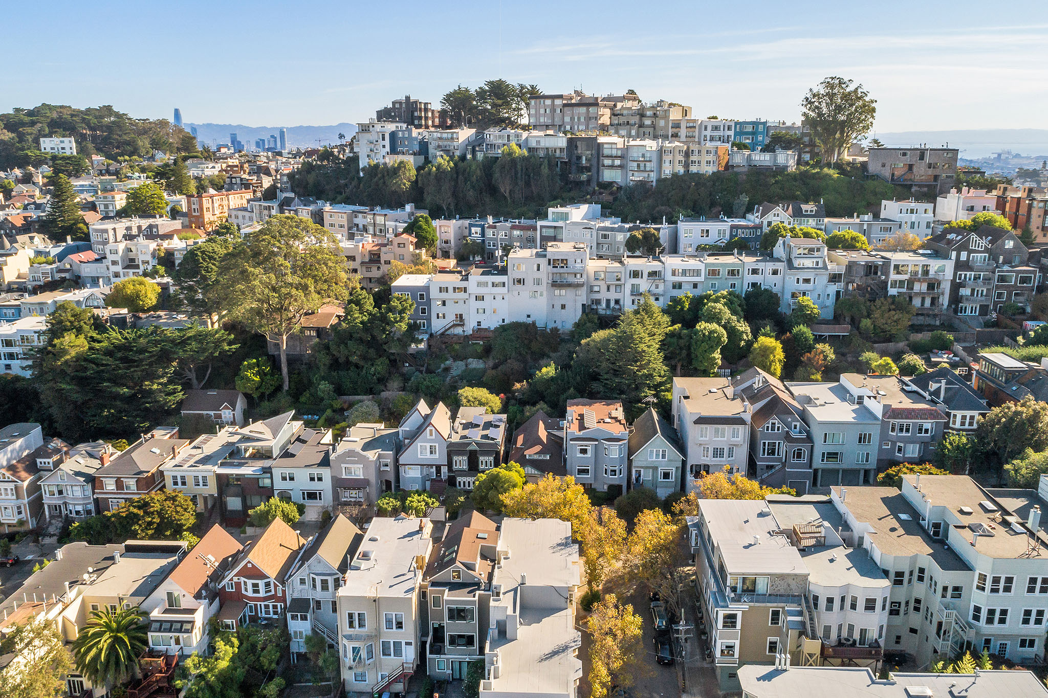 Aerial view, showing the rows of homes surrounding 540-542 Belvedere Street