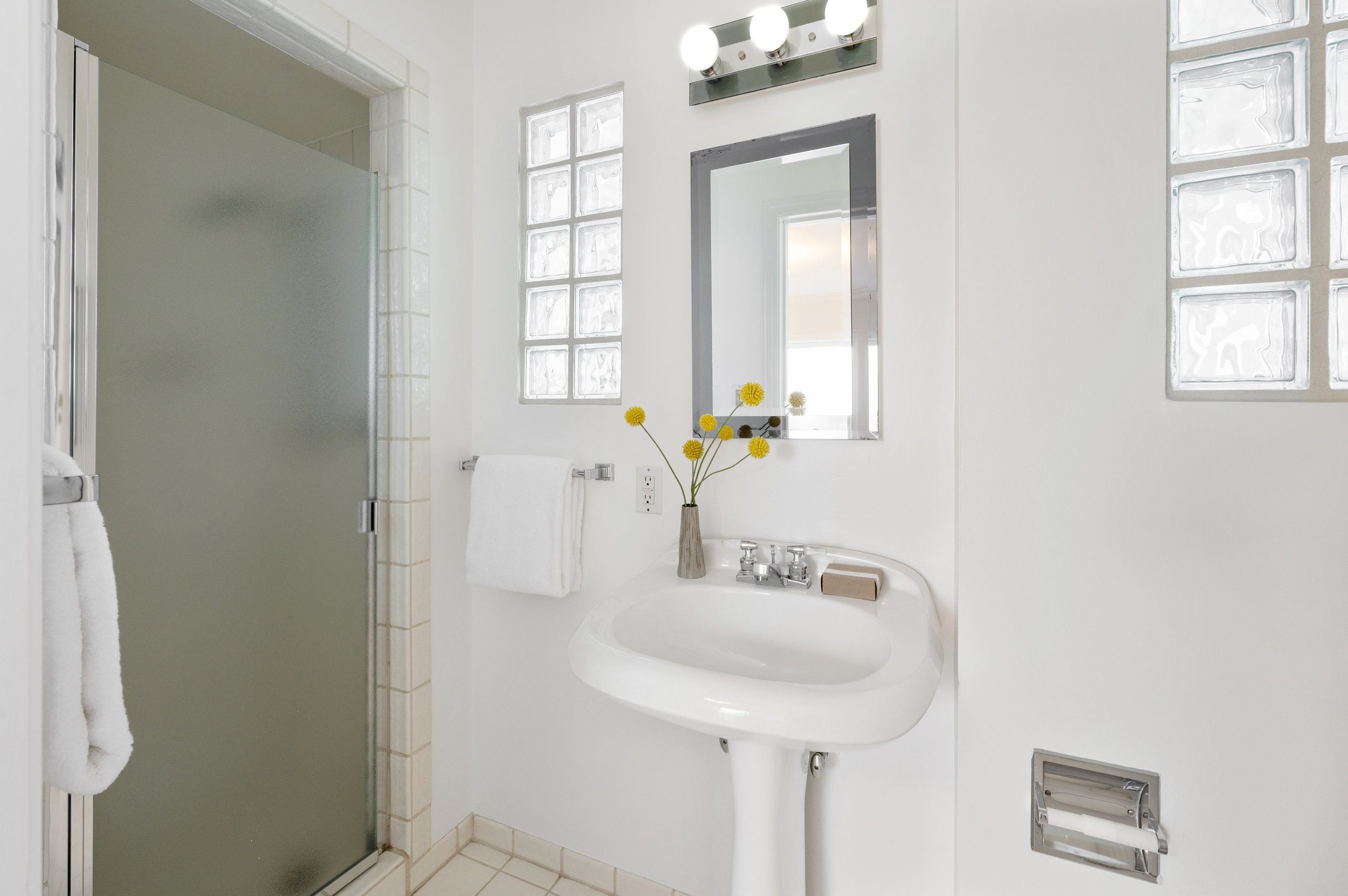 036049 Second bathroom, featuring a shower and block glass windows
