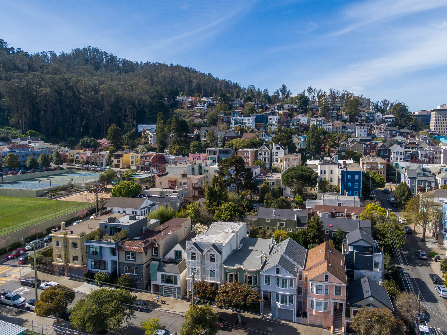 037photos1223shraderap006 1223 Shrader Street with Sutro Forrest to the left