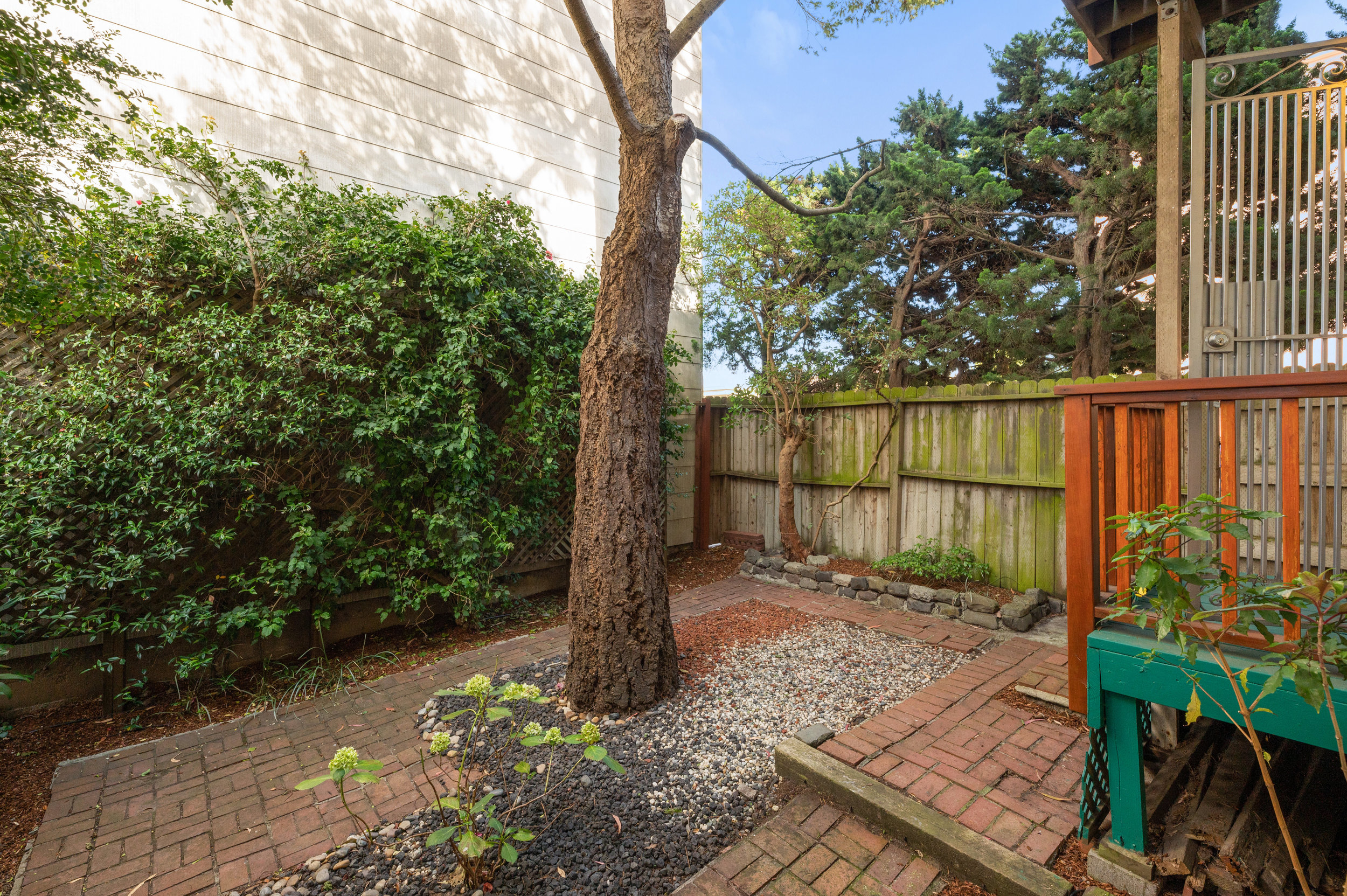 053067 View of the private outdoor living area with a tree