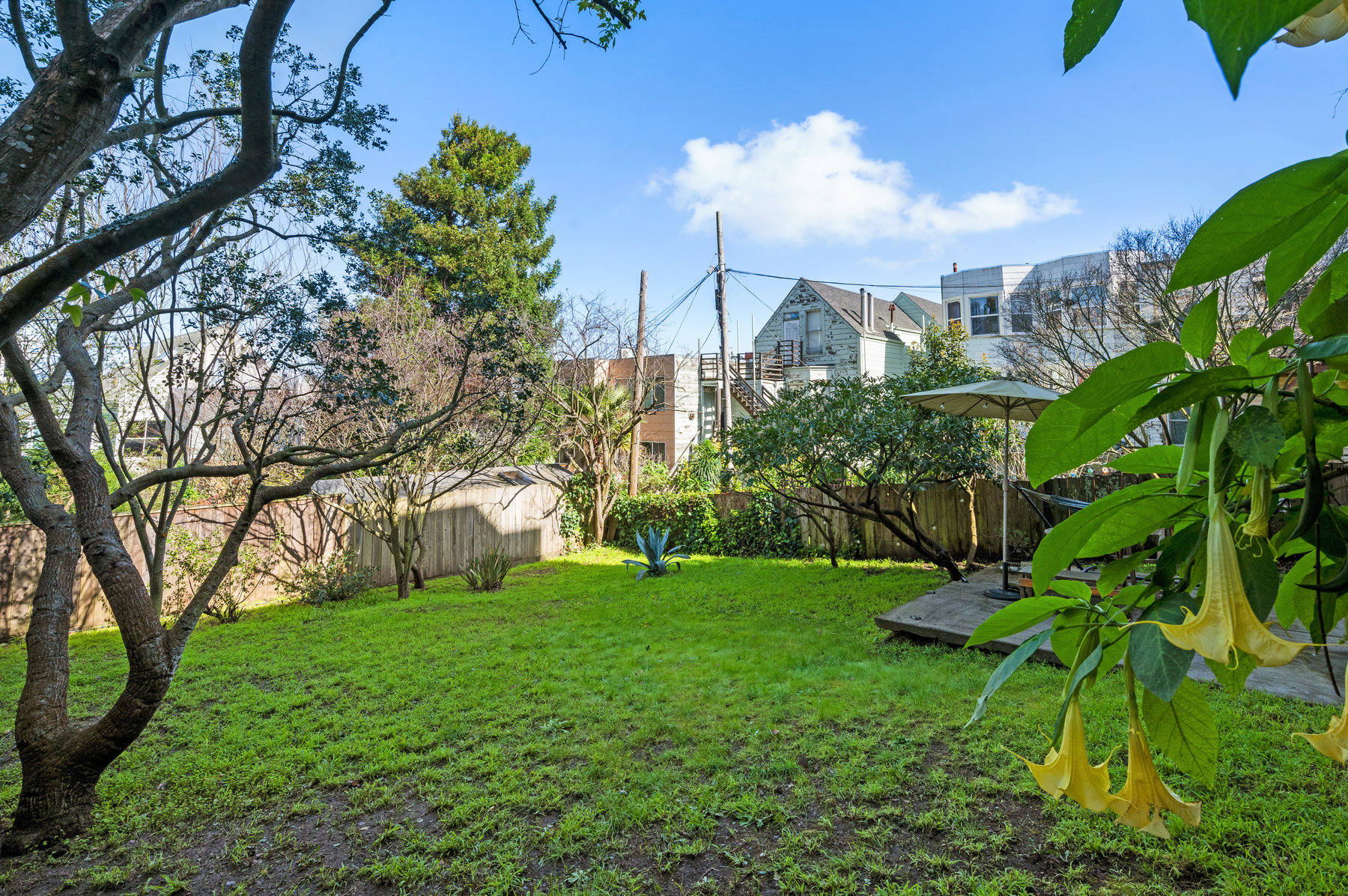 Large shared back yard.