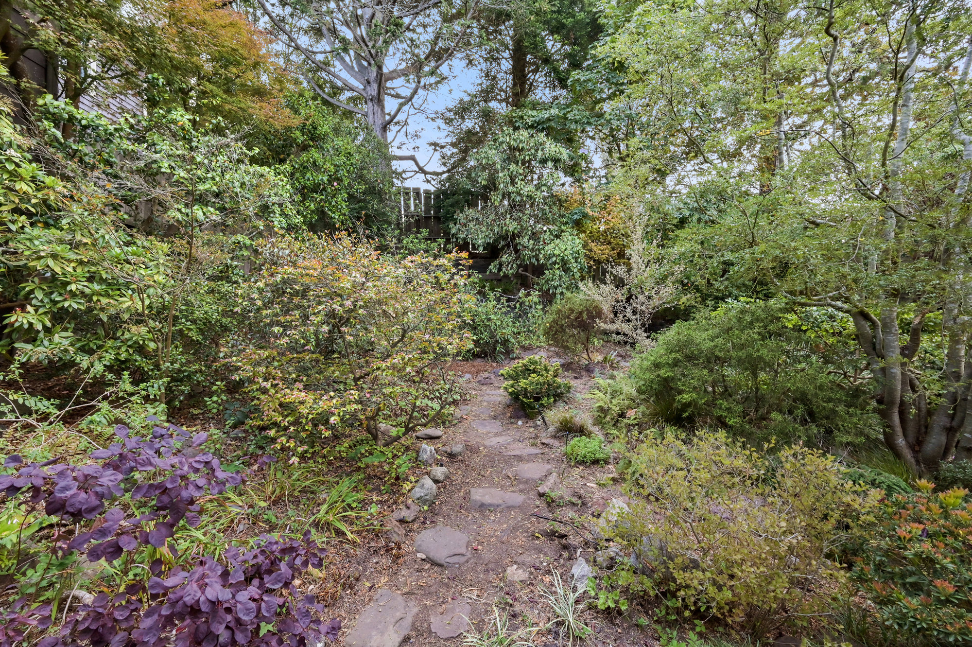 082115 View of a stone path leading through the gardens of 183 Edgewood Avenue in Cole Valley