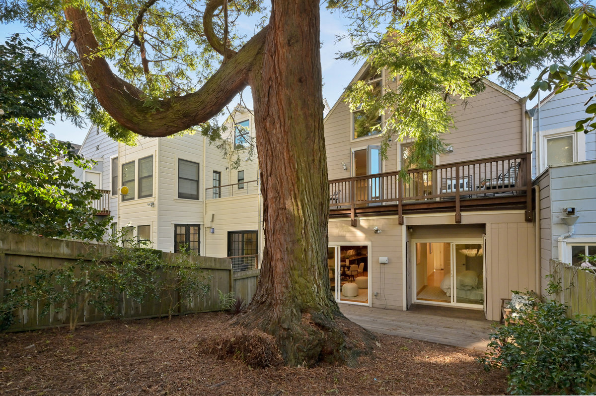 087132 Rear exterior view of 856 Clayton, showing a large tree, and two decks