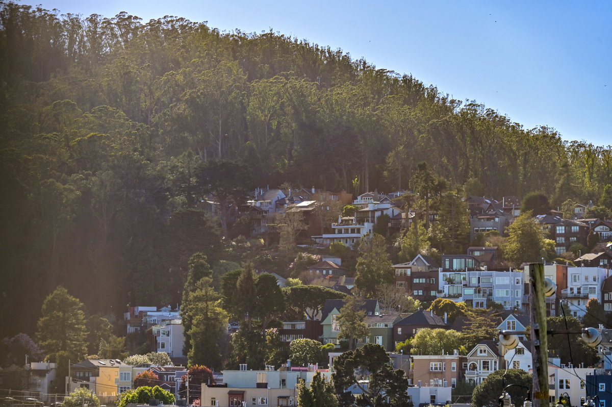 092137 View of Cole Valley as seen from the primary bedroom