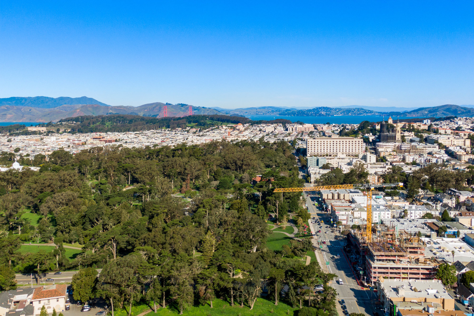 Aerial photo looking over golden gate park towards the bay.