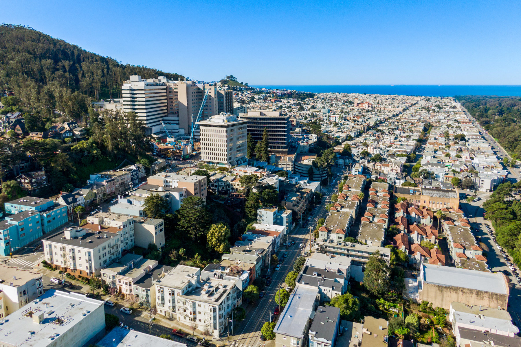 Aerial photo looking over USF down to the ocean.