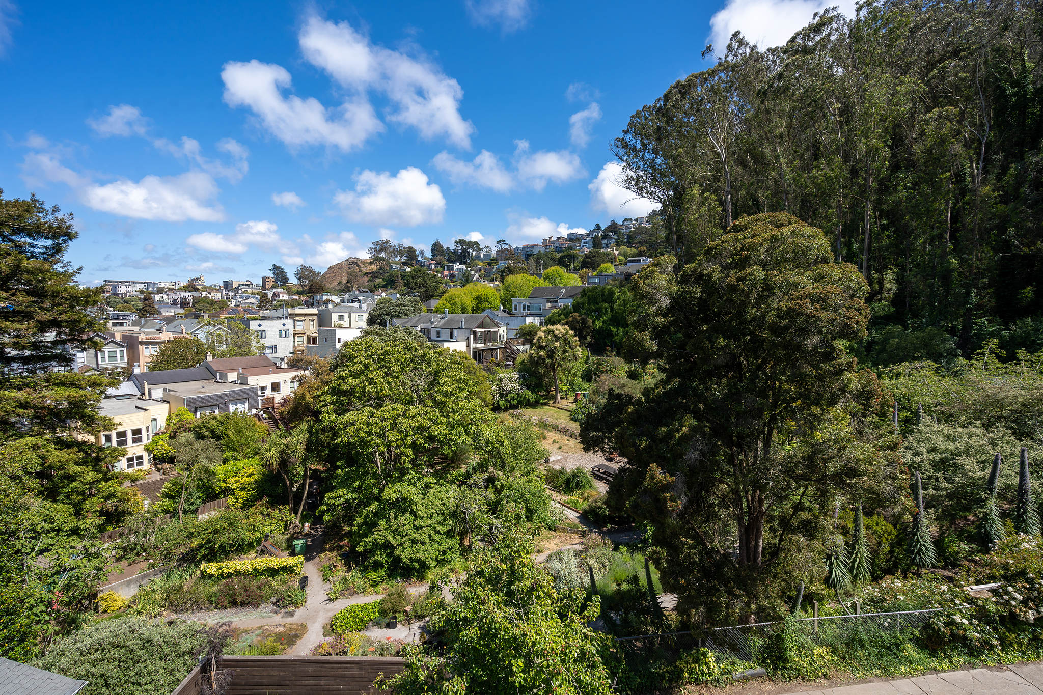 118-woodland-avenue.46233.p4k.027.web A view of Sutro Forrest and neighborhood homes from the deck at 117 Woodland Ave