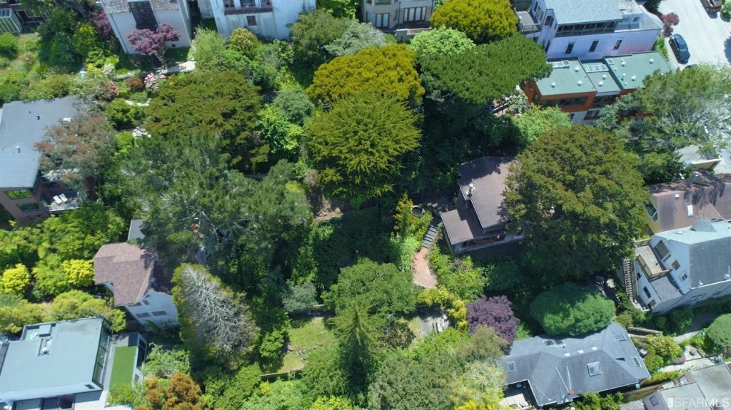 Aerial view of 1284 Stanyan Street, showing a wooded area surrounding a home