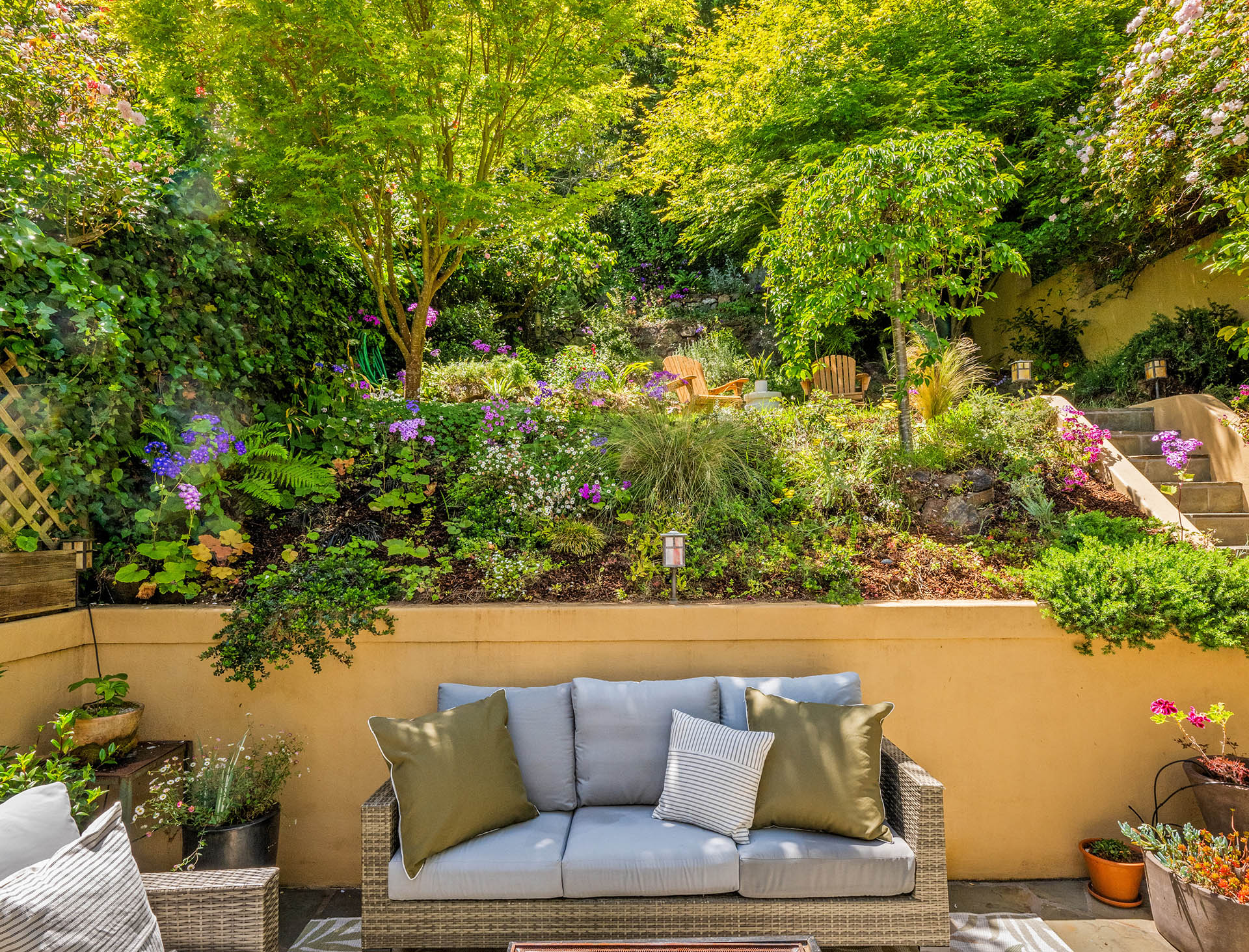 1525willard-backyard-1