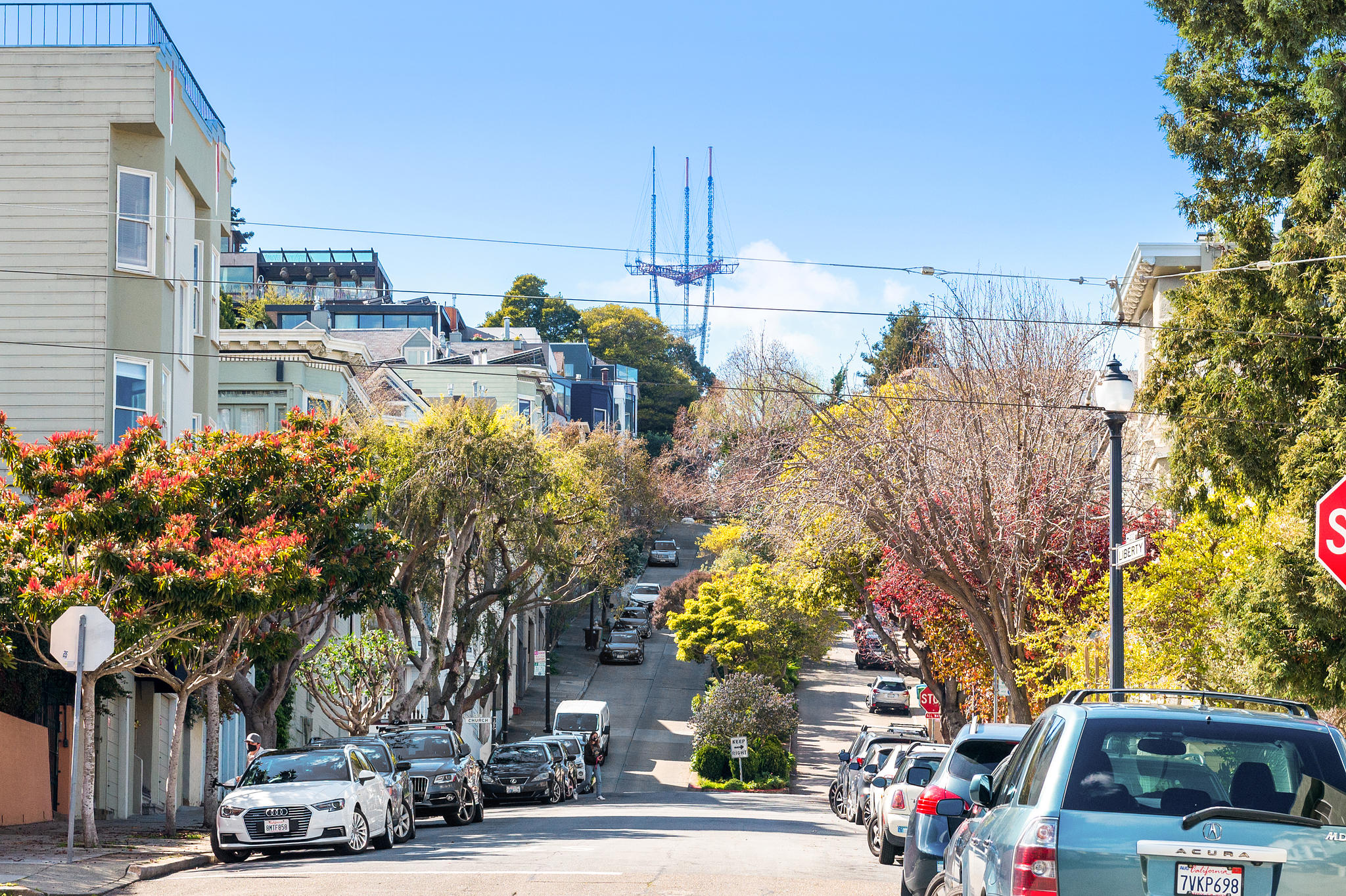A tree lined street outside 228 Liberty Street