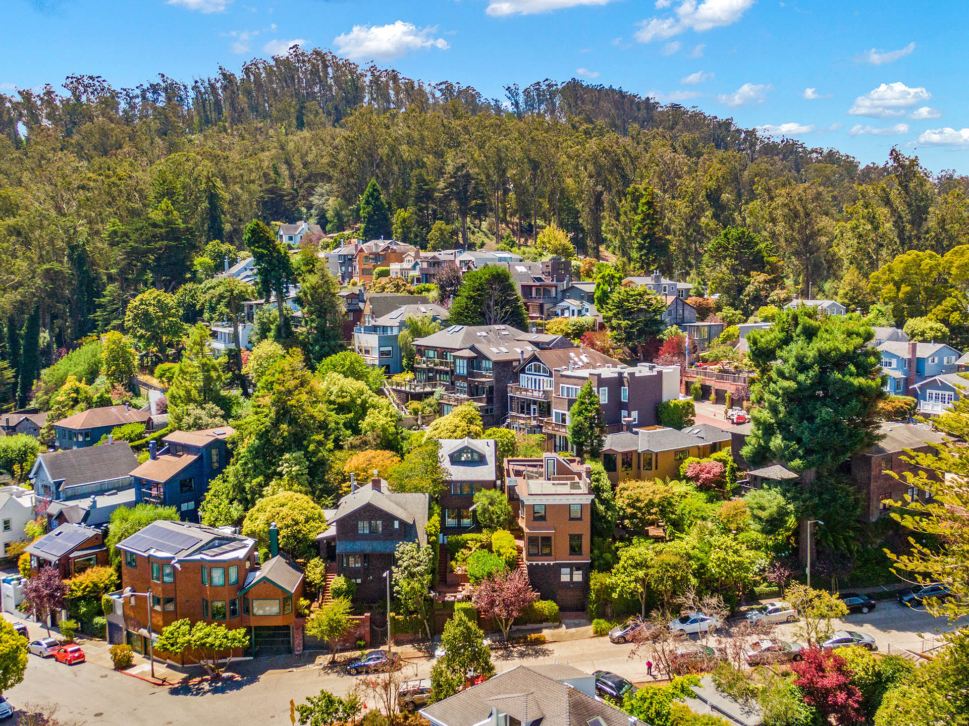 Looking over all the lush greenery with-in and behind all the homes in the neighborhood.