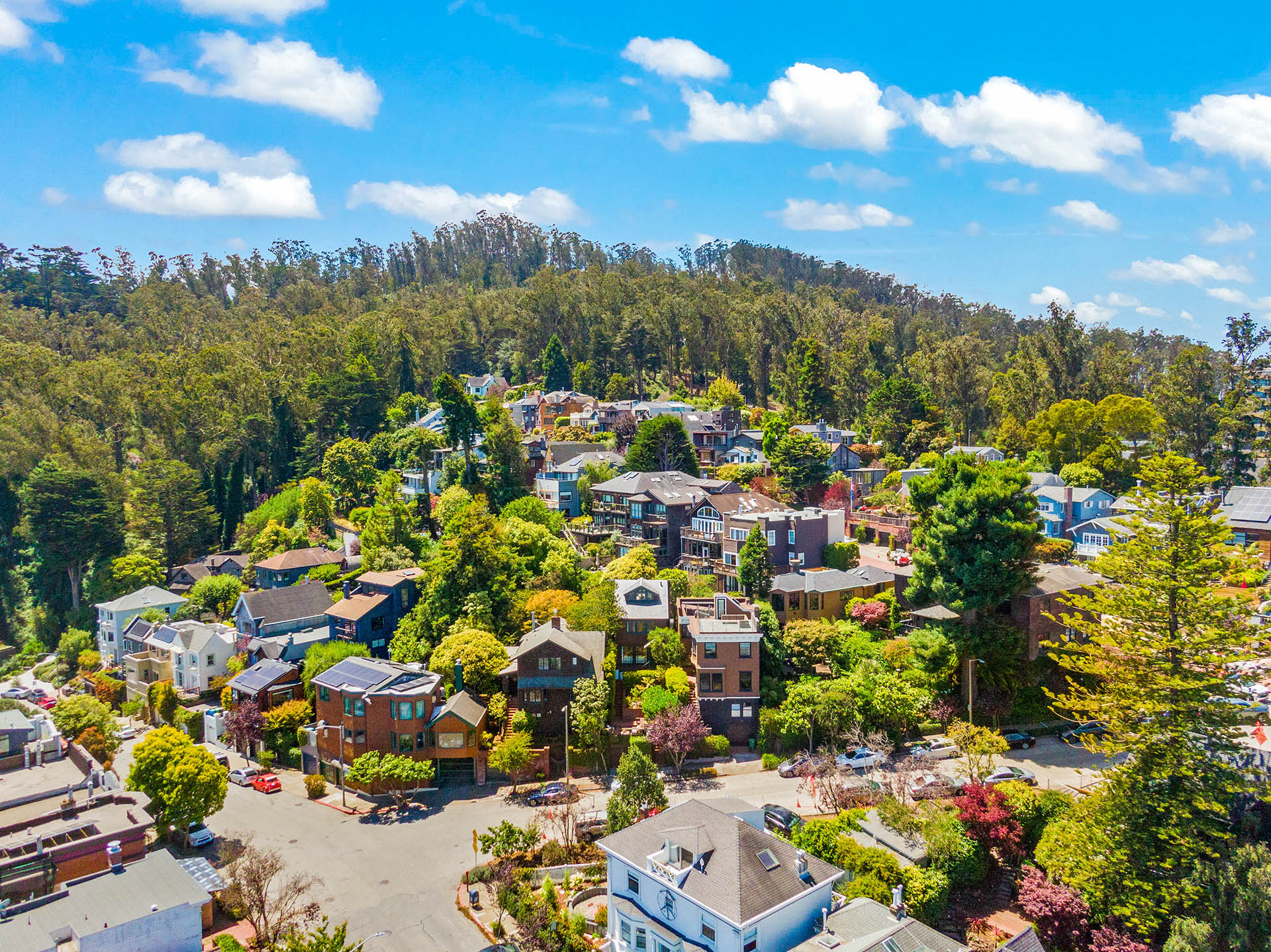 Aerial shot of the hillside with all the surrounding homes.