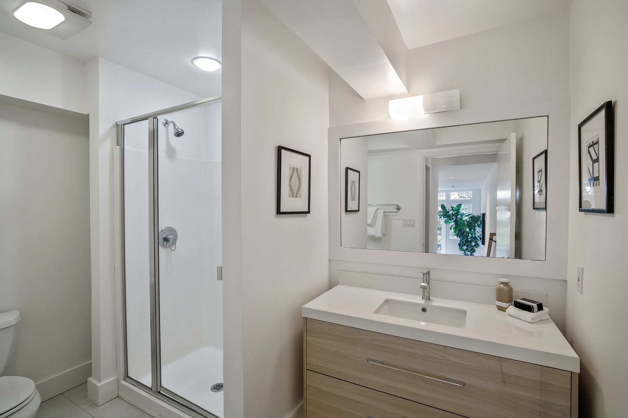 Lower level bathroom with shower