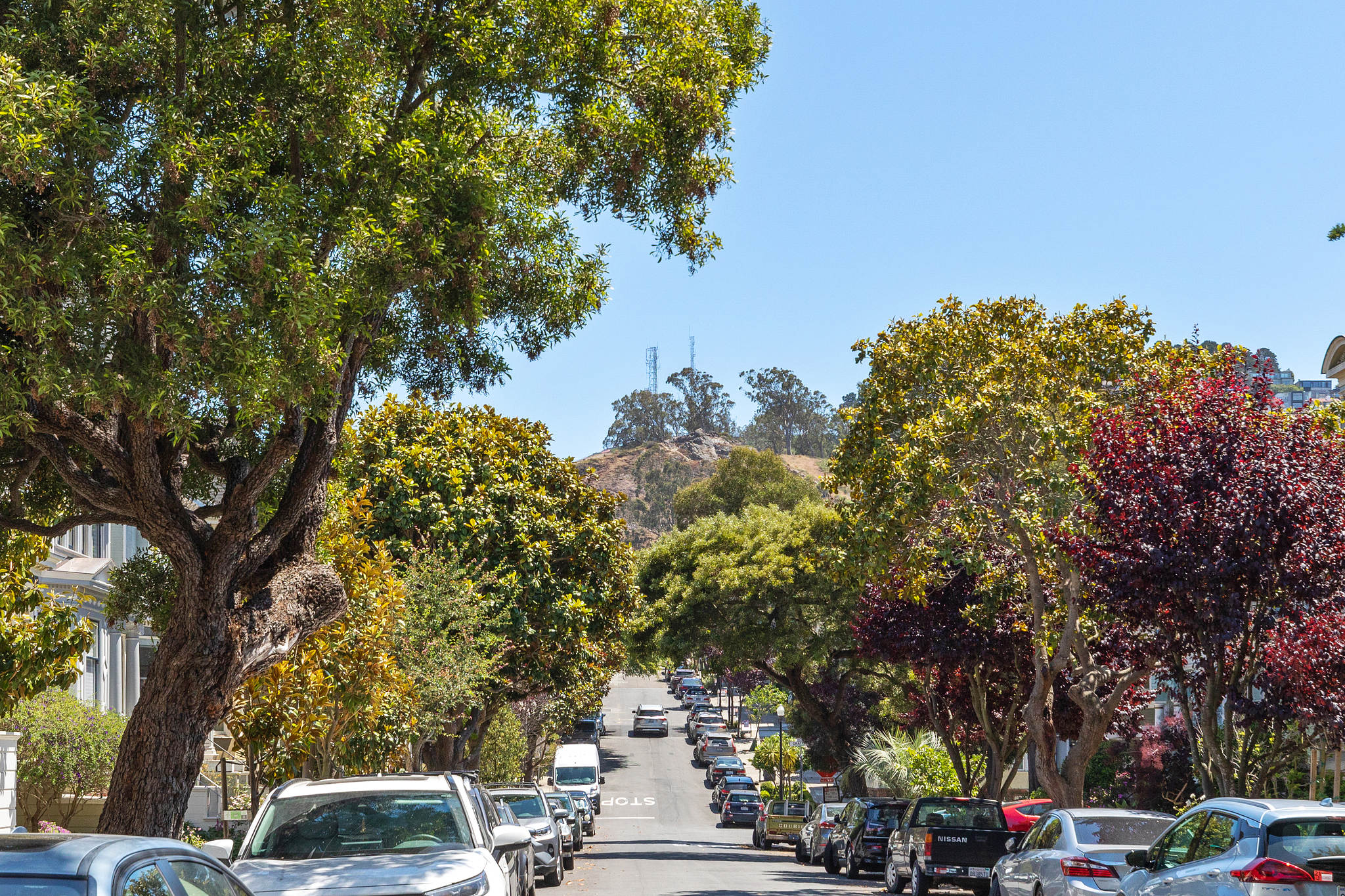38-parnassus-avenue.47355.p2k.005.web A street lined with trees