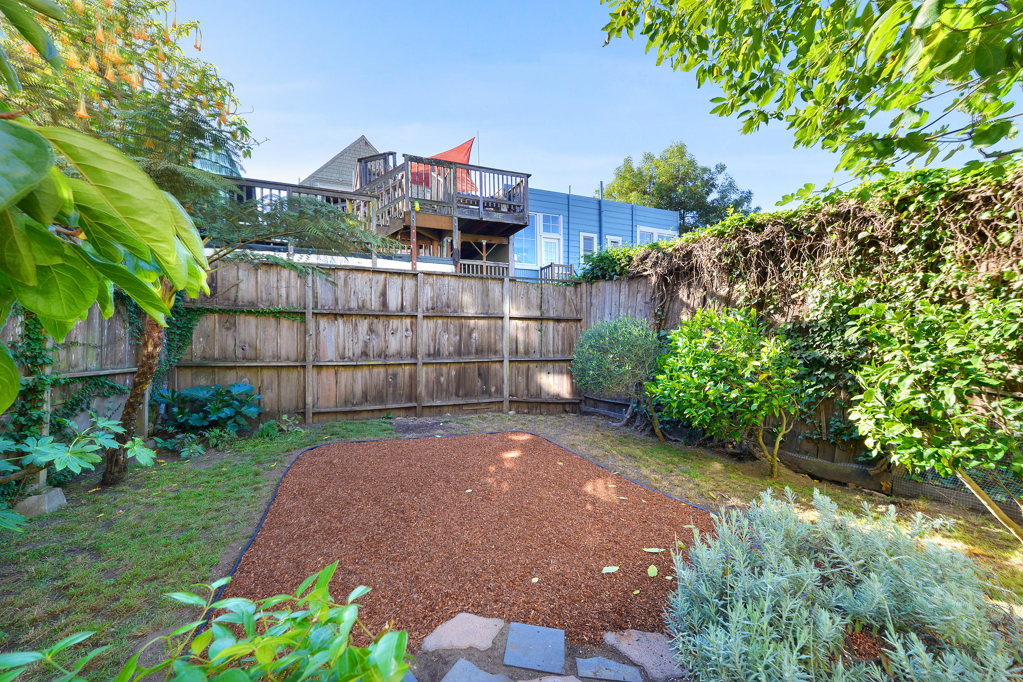 Rear yard at 715 Ashbury Street
