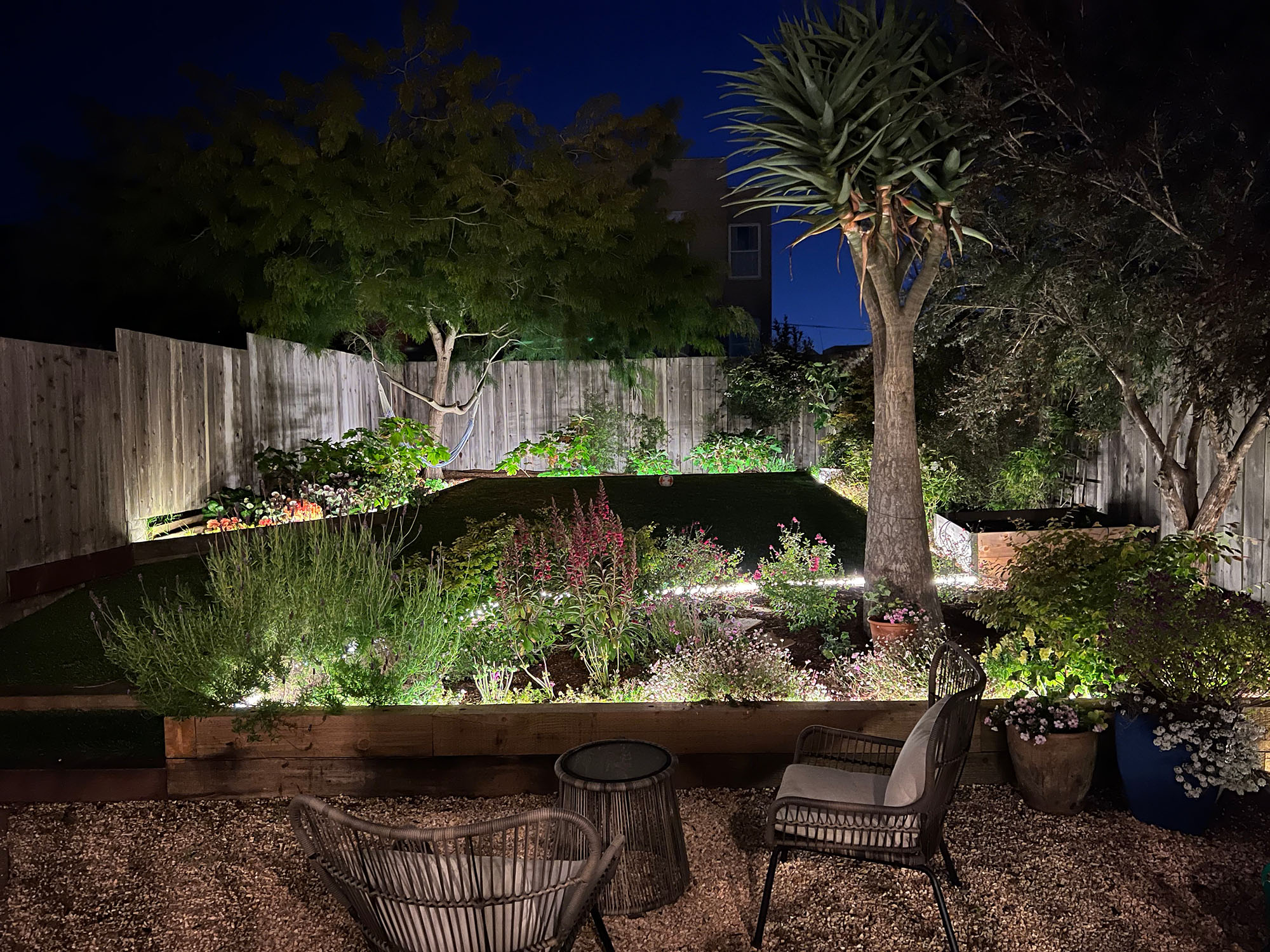 View of the rear yard at night, lit-up by landscape lights