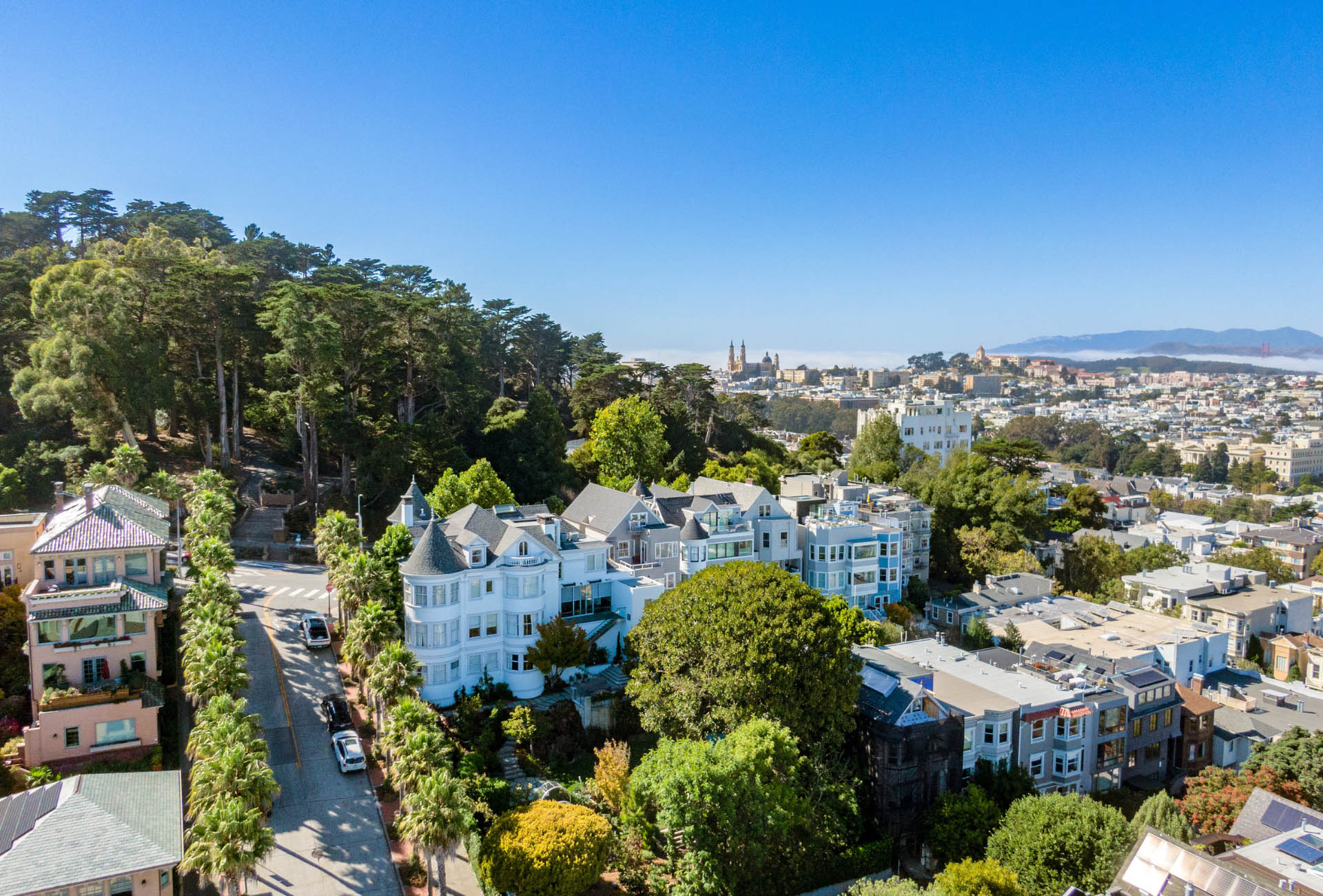 east-aeriel-shot-living-area-of171-173-Buena-vista-ave-east Aerial photo looking out to Buena Vista Park and towards the bay.