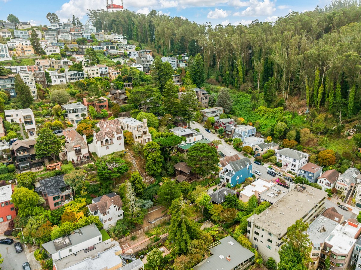 Aerial view of a residential neighborhood with houses surrounded by dense trees, near a forested hillside and modern buildings in the background. Aerial view of a residential neighborhood with houses surrounded by dense trees, near a forested hillside and modern buildings in the background.